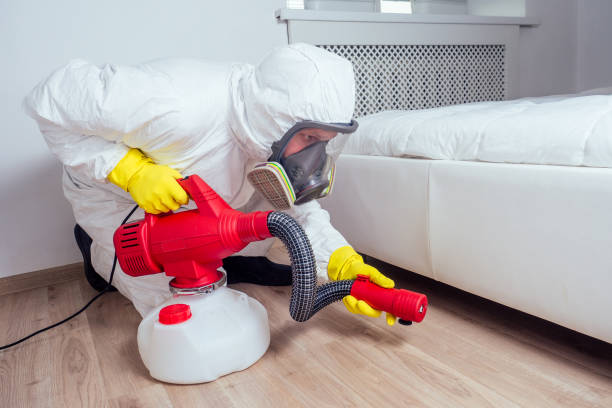Best Pest Removal Services  in Garden Grove, FL