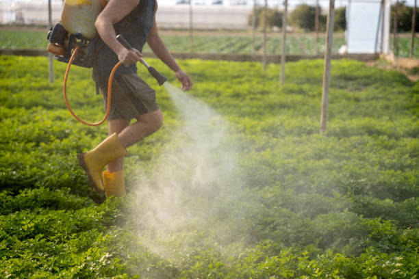 Best Wildlife Control Services  in Garden Grove, FL
