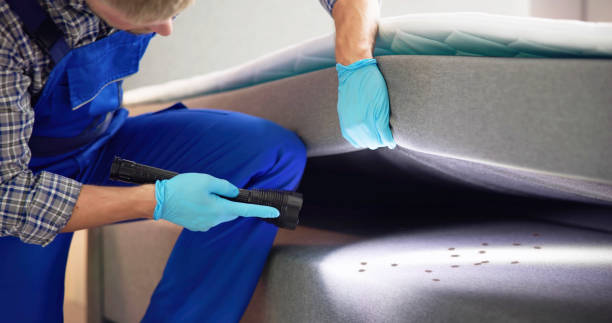 Best Cockroach Control Services  in Garden Grove, FL