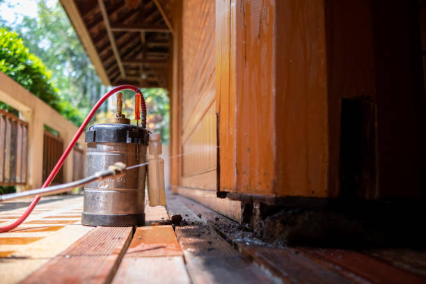 Best Best Pest Control Companies  in Garden Grove, FL