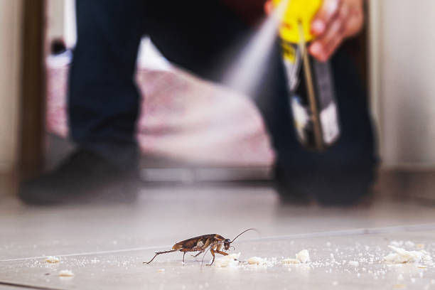 Best Pest Removal Services  in Garden Grove, FL