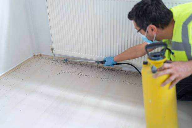 Pest Control Cost in Garden Grove, FL